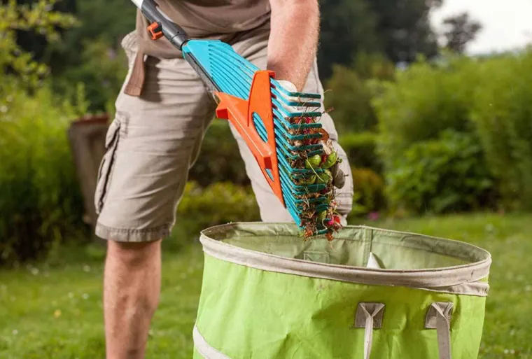 Petits travaux de jardinage, Albi, Maviesifacile